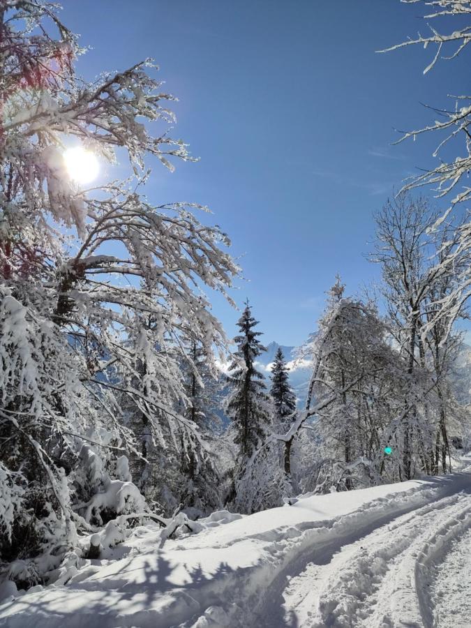 Logement Entre Lac Et Montagnes Тон Экстерьер фото